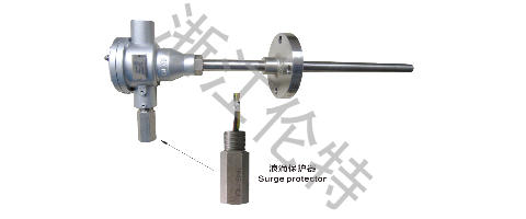 Lightning-protection Integrated Thermocouple and RTD