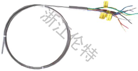 單支多點(diǎn)熱電偶